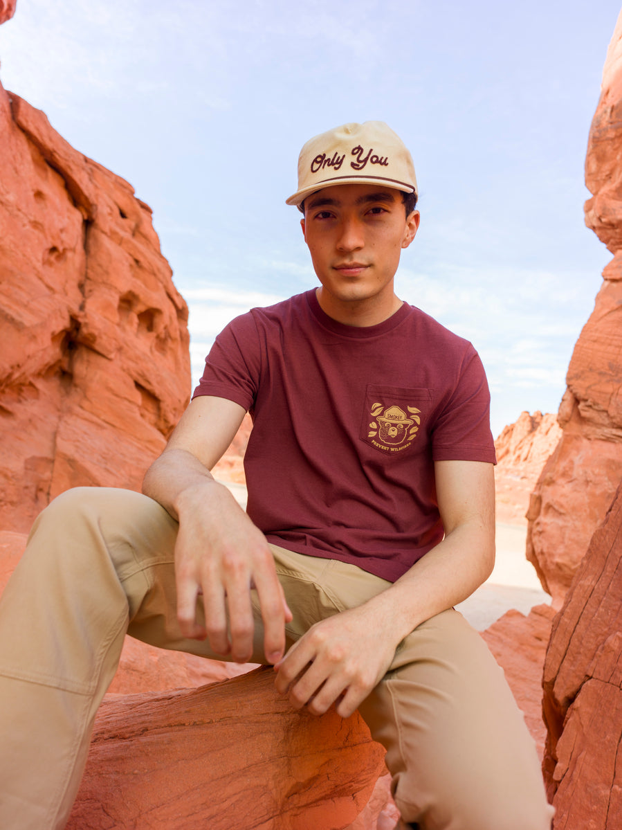 Smokey Bear : Support the US Forest Service – Landmark Wholesale