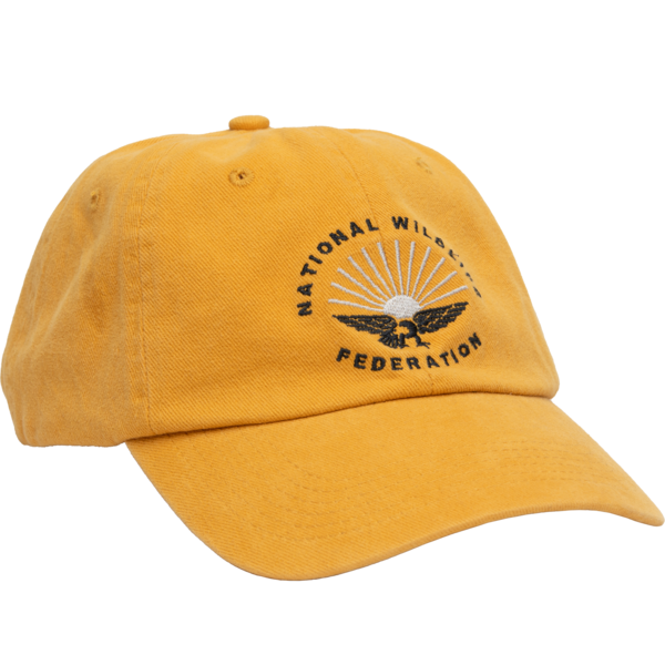 NWF 6-Panel Dad Hat