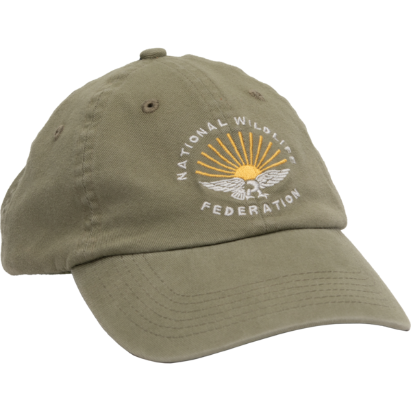 NWF 6-Panel Dad Hat