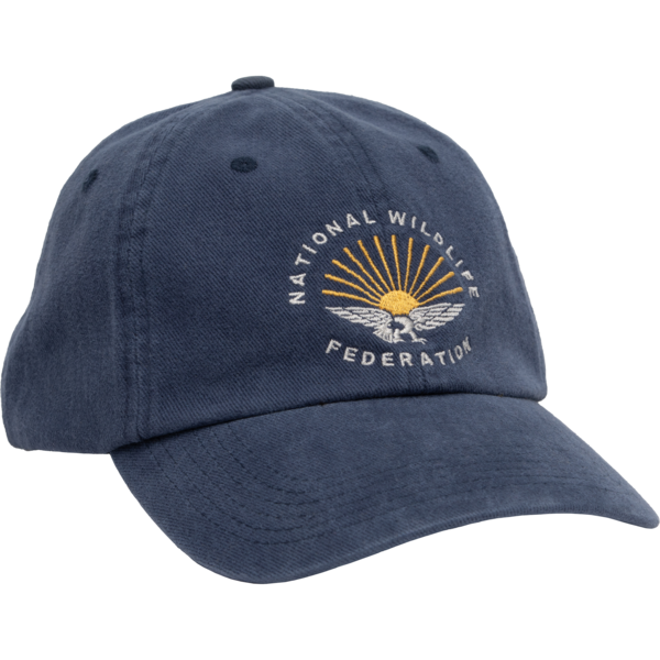 NWF 6-Panel Dad Hat