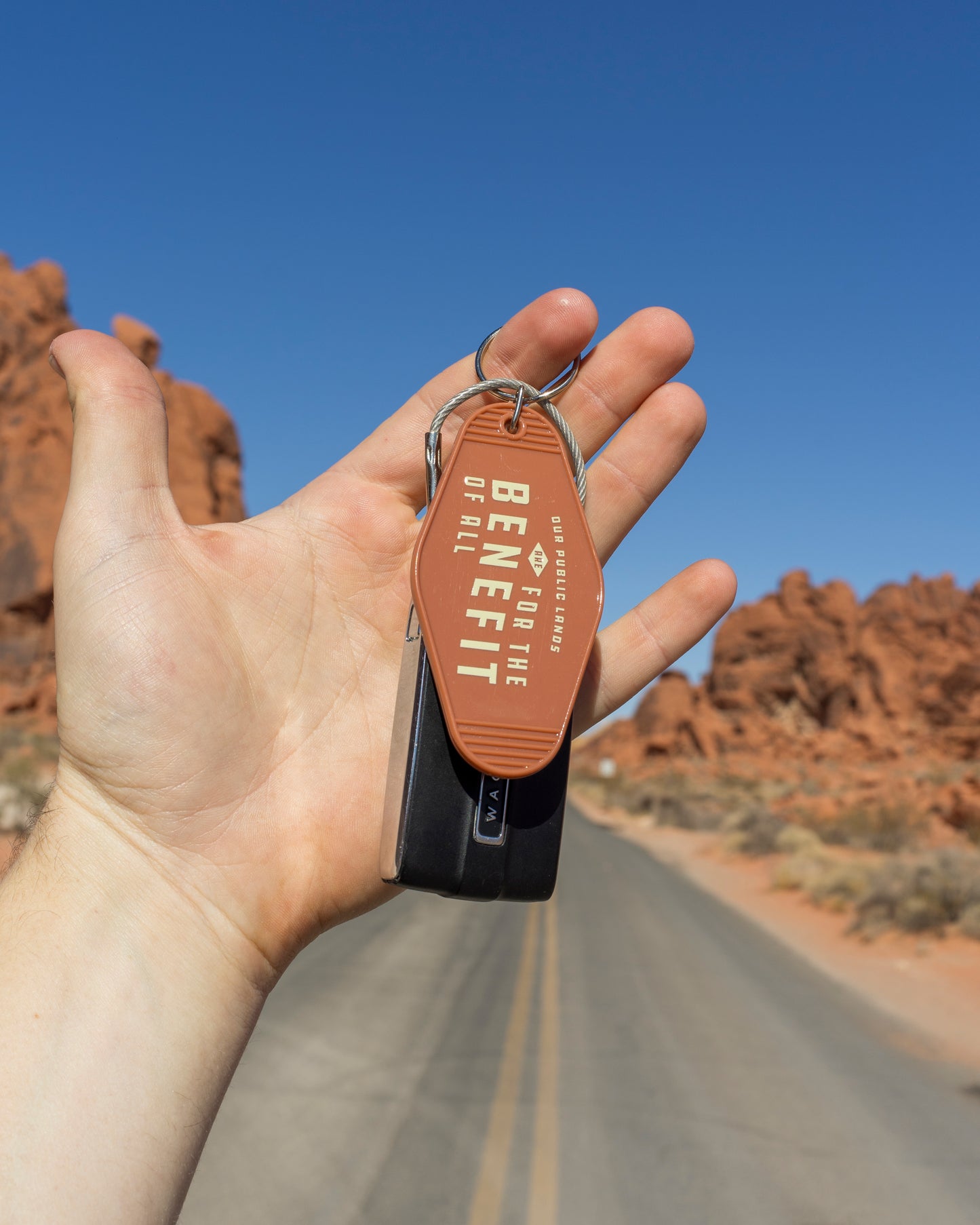 Public Lands for All Keychain