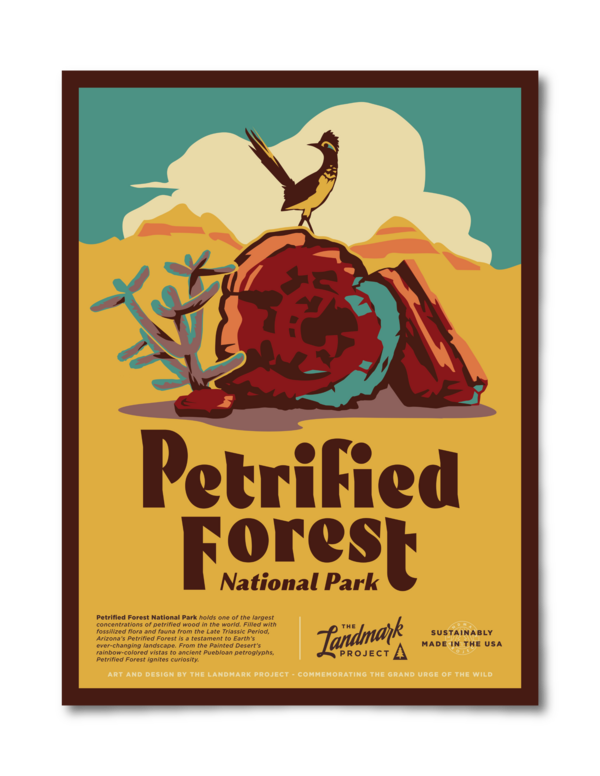 Petrified Forest National Park Poster
