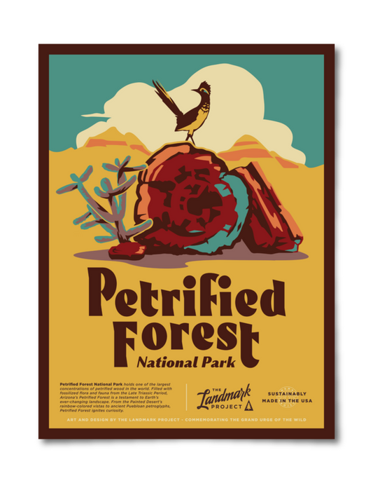 Petrified Forest National Park Poster