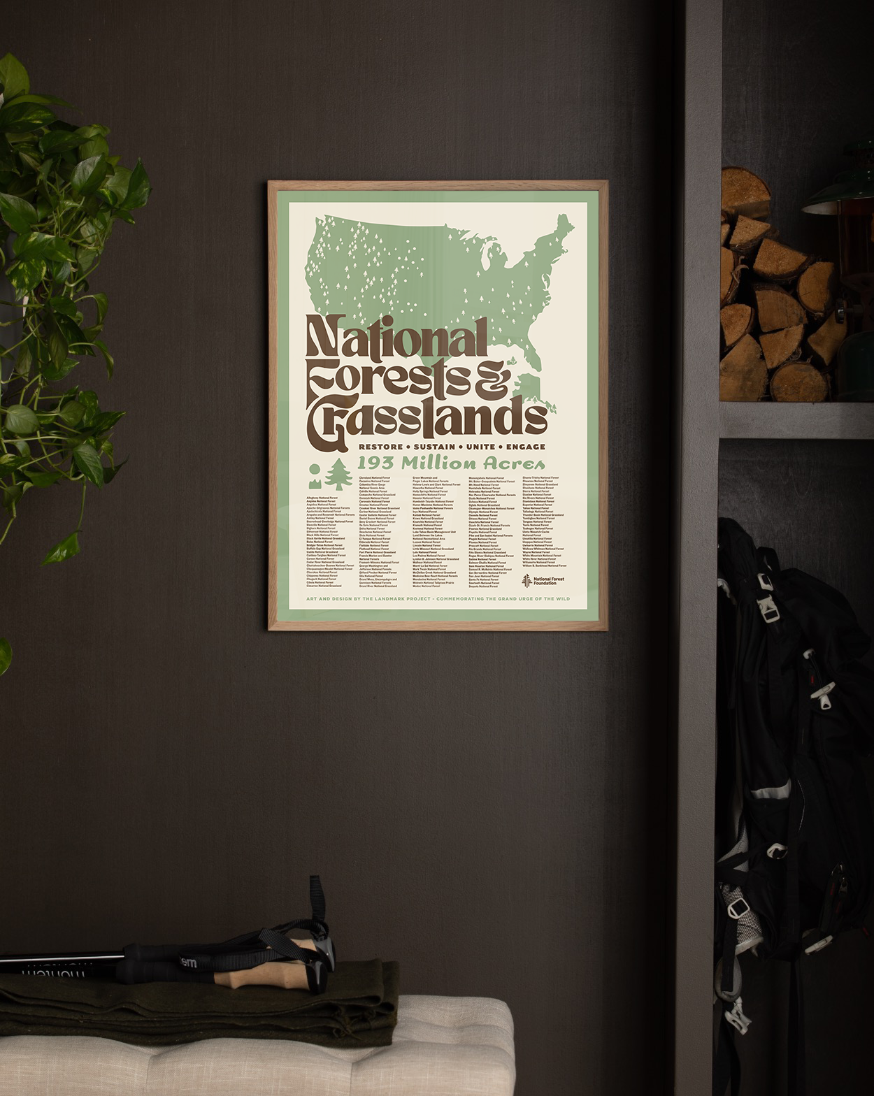 National Forests and Grasslands Poster