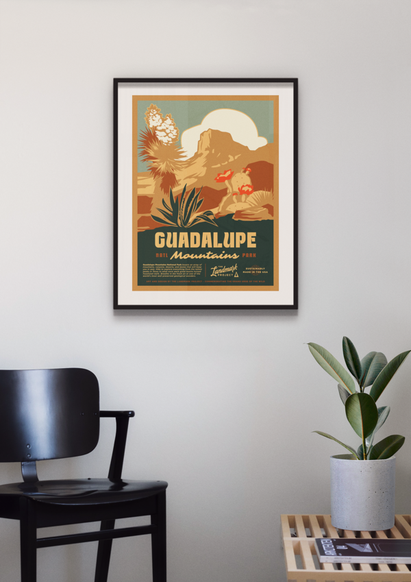 Guadalupe Mountains National Park Poster