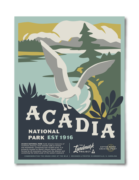 Acadia National Park Poster