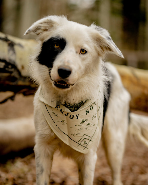 Protect Our Forests Bandana