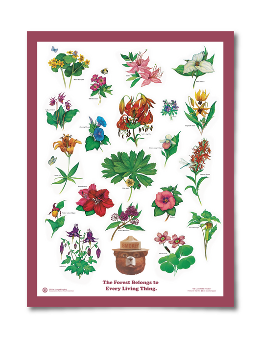 Flowers of the Forest Educational Poster