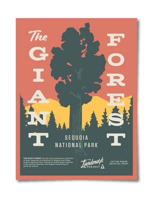 Giant Forest Poster