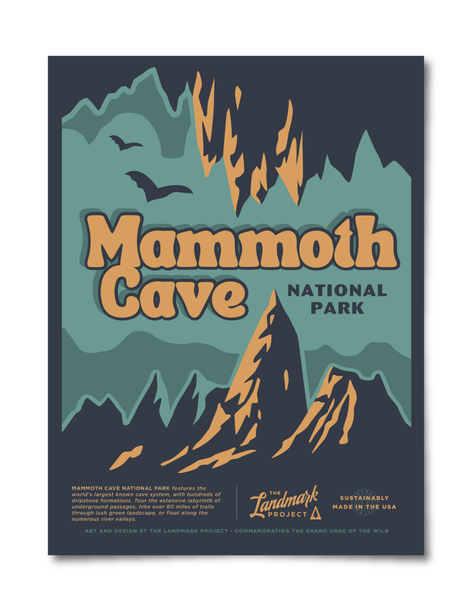 Mammoth Cave National Park Poster