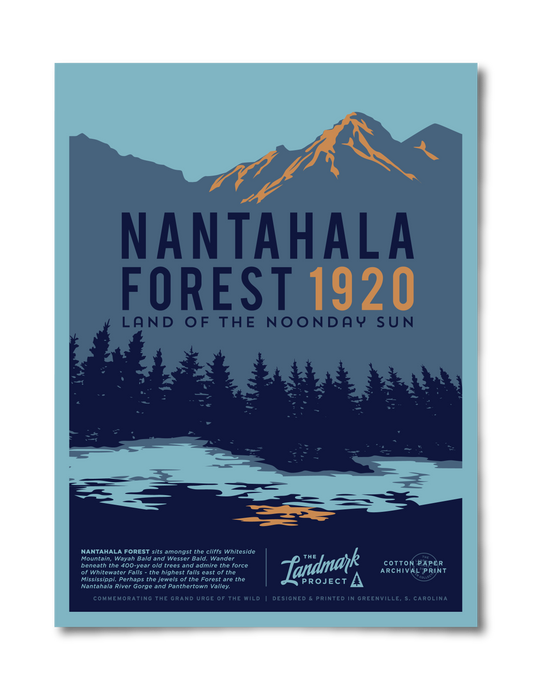Nantahala Forest Poster