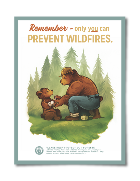 Prevent Wildfires Poster