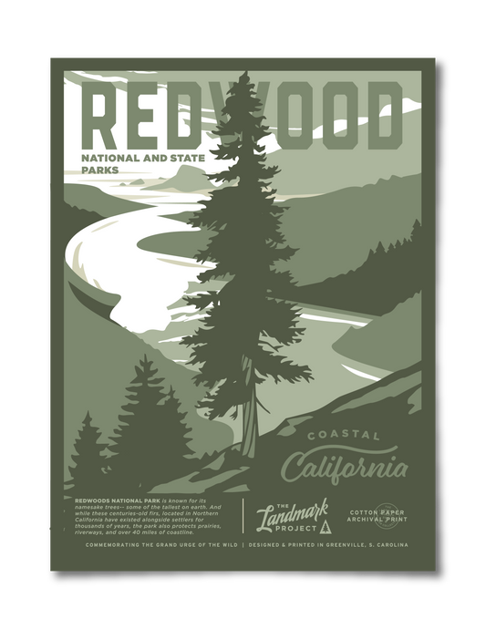 Redwood National Park Poster