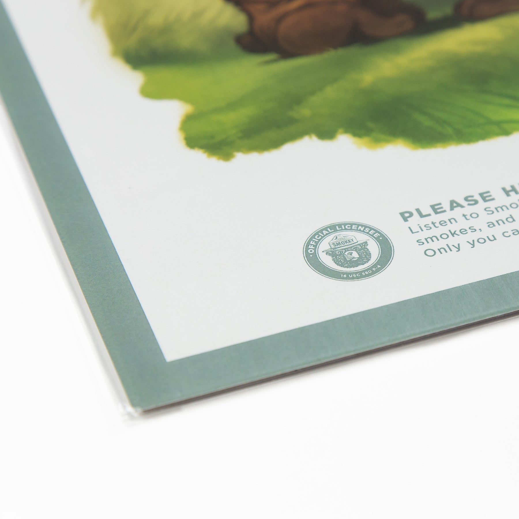 Prevent Wildfires Poster