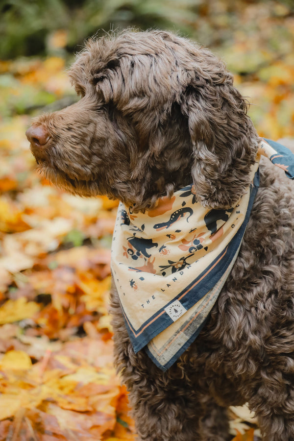 Appalachian Animals Bandana