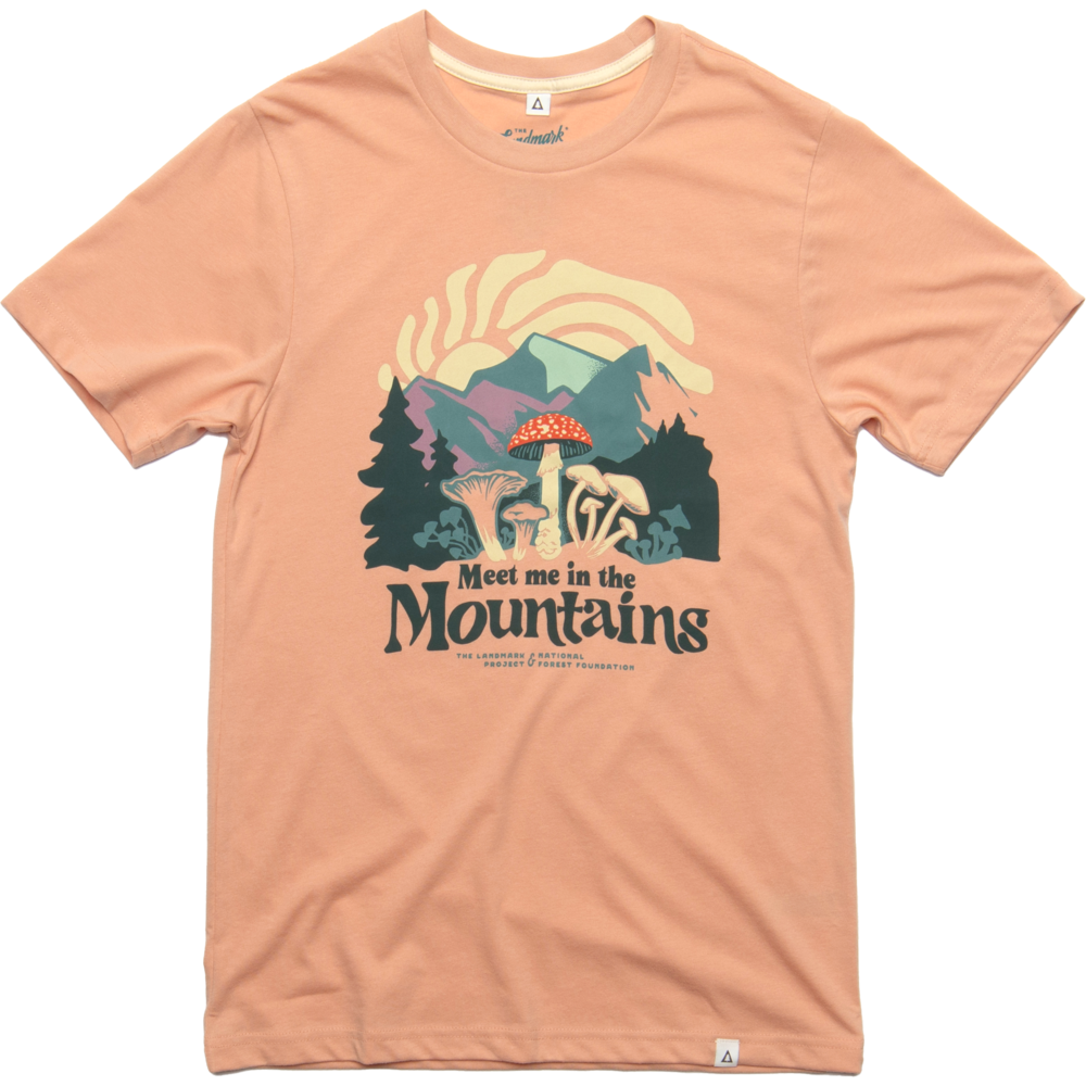 Meet Me in the Mountains Tee