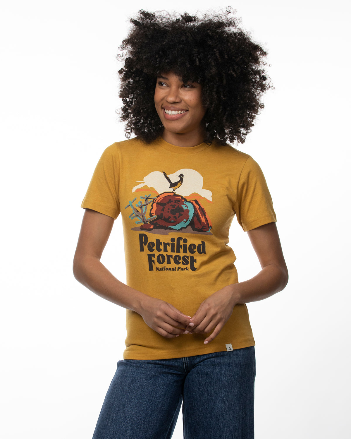 Petrified Forest National Park Tee