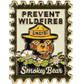 Smokey Bear Postage Stamp Pin