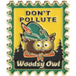 Woodsy Owl Postage Stamp Pin