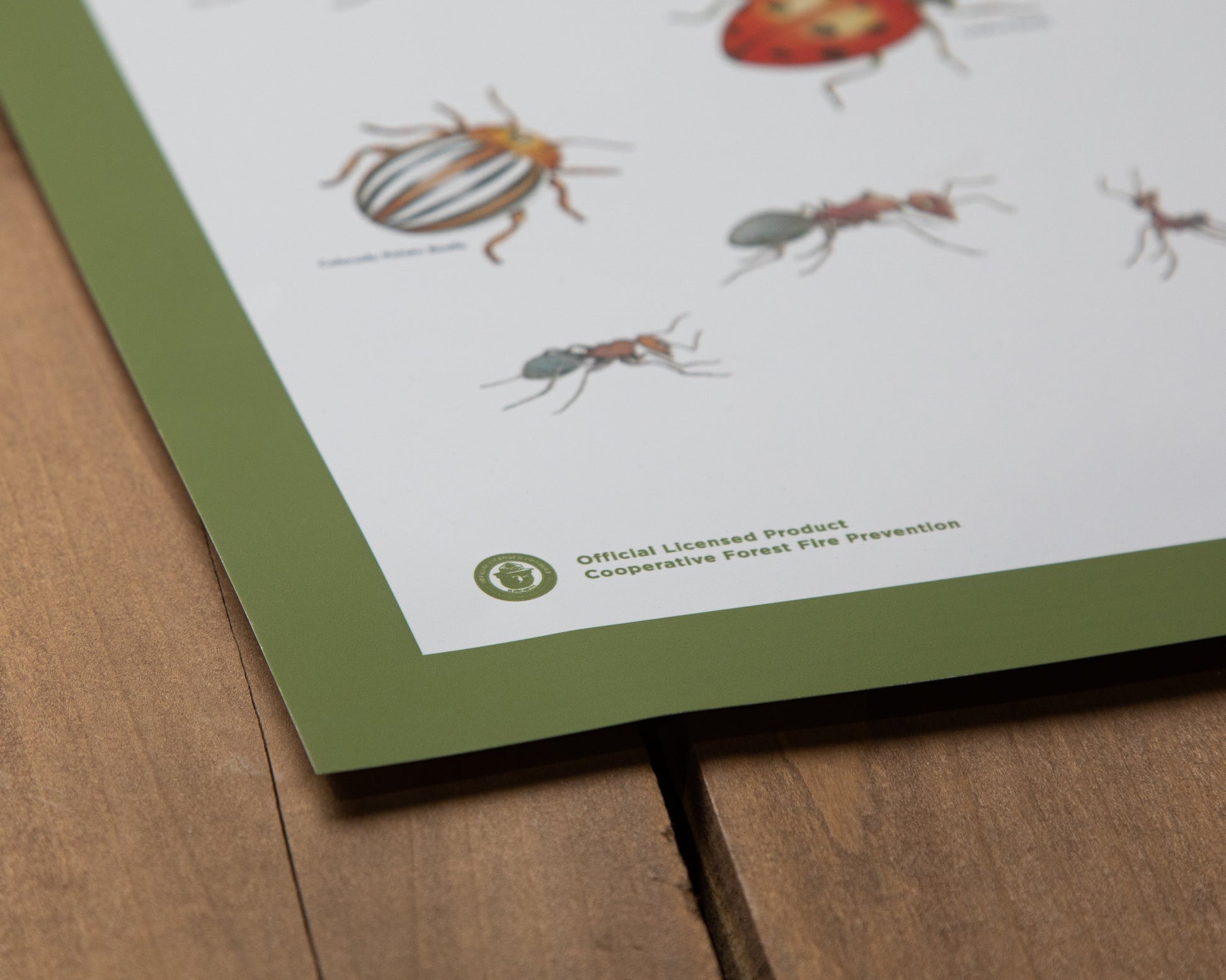 ants cooperating posters