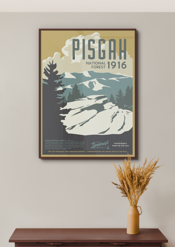 Pisgah National Forest Poster