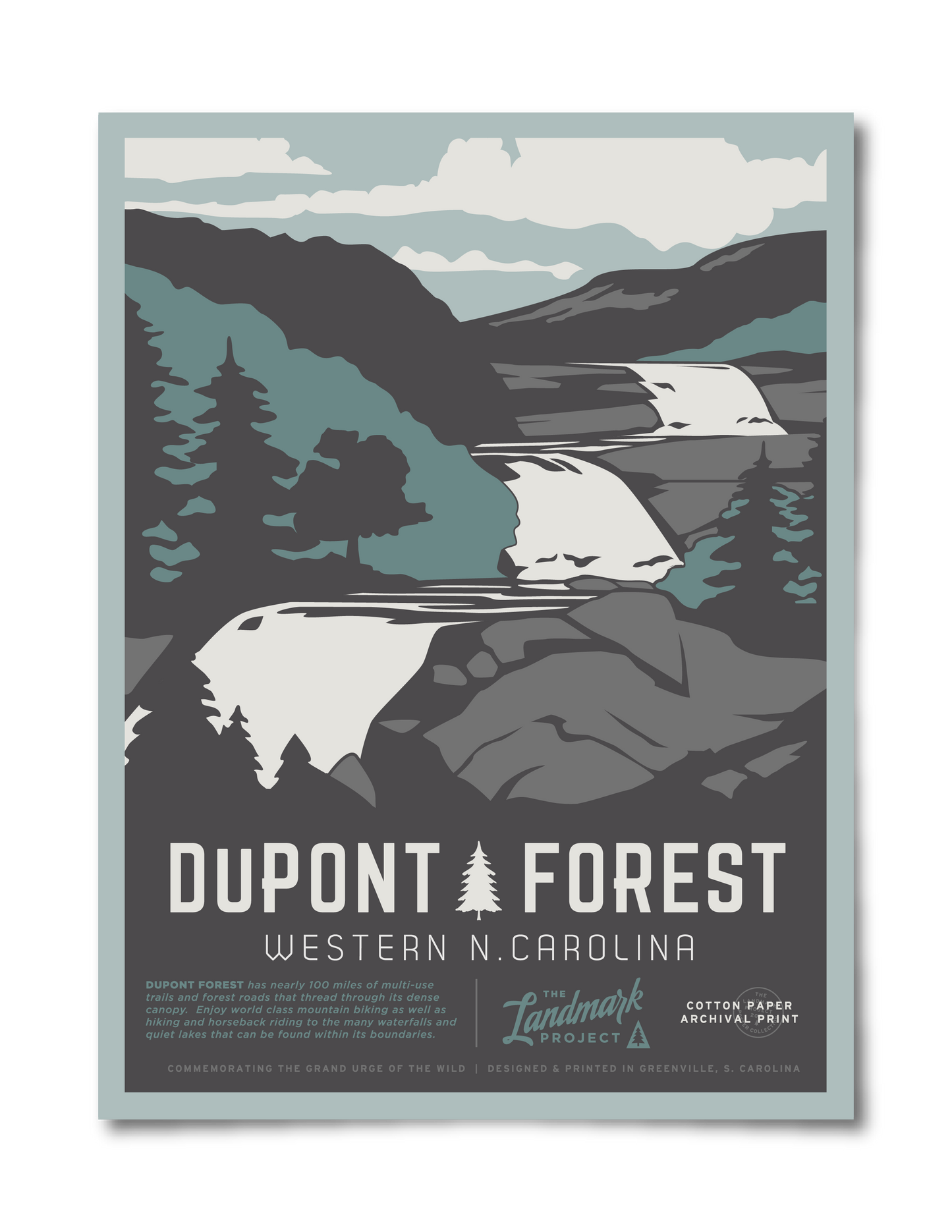 Dupont State Forest Poster