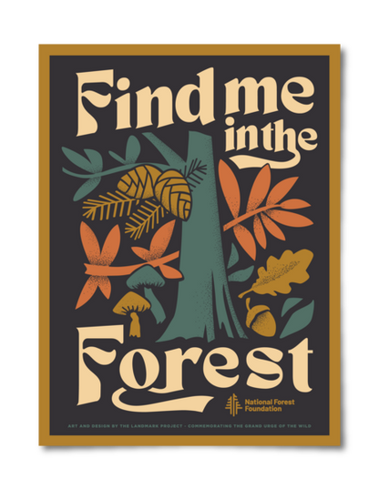 Find Me in the Forest Poster