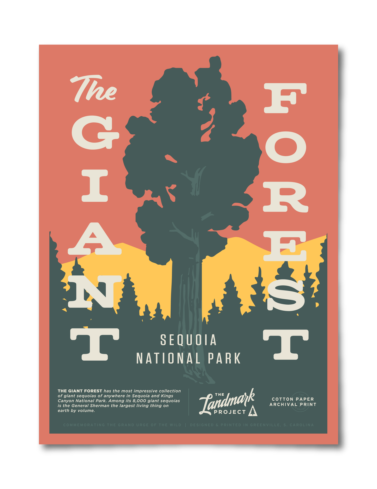 Giant Forest Poster
