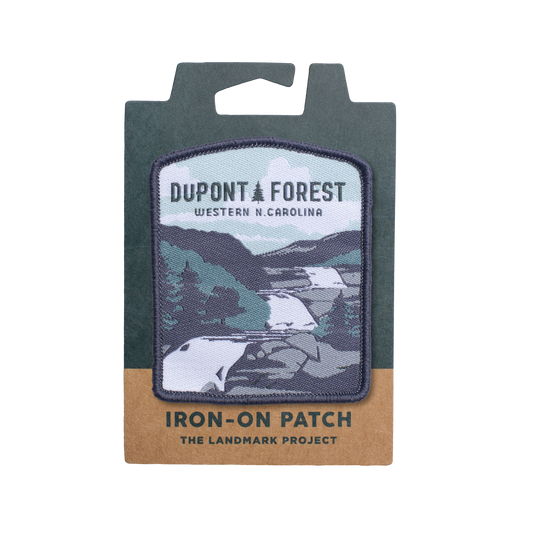 Dupont State Forest Patch